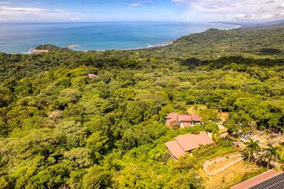 Modern Oceanview Masterpiece Above Dominical image 3