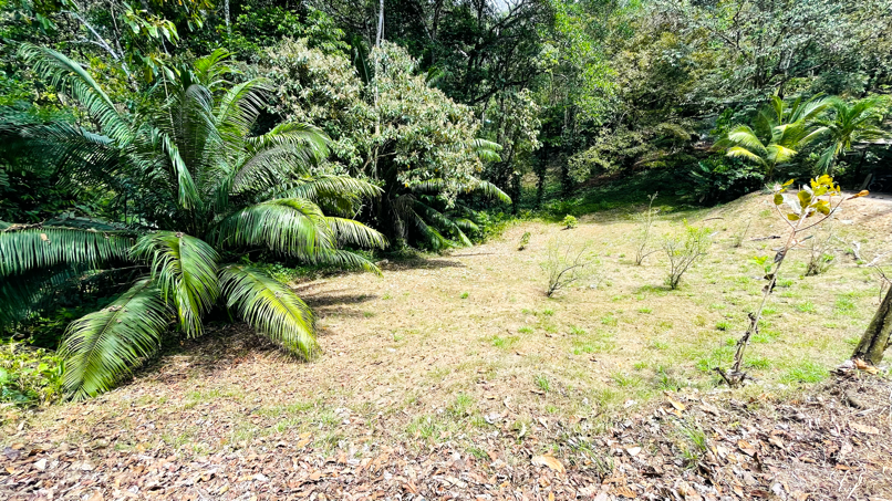 Multi-Home Income Estate Near Marino Ballena National Park selected
