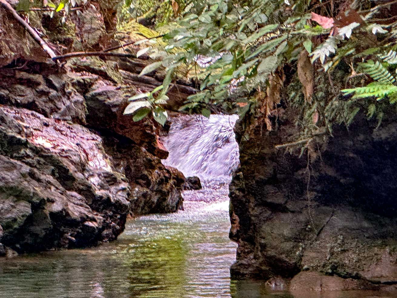 Exceptional 12-Acre Investment Property in Central Ojochal – Riverfront Jungle Estate with Home, Cabin, Workshop & Endless Development Potential selected