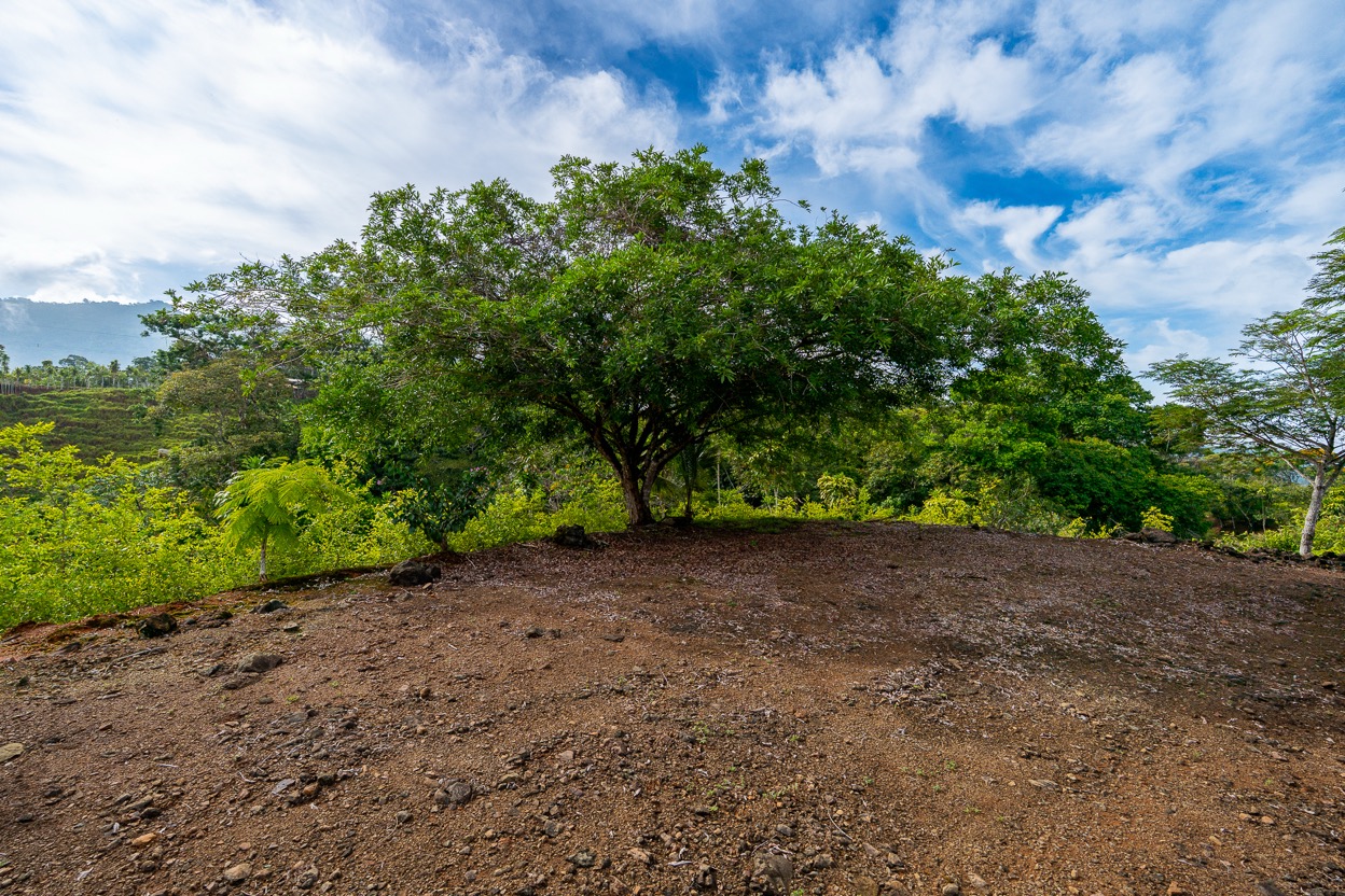 Ocean View Development Property with Waterfall Vista — 14.83 Acres in San Luis de Morete, Near Uvita selected