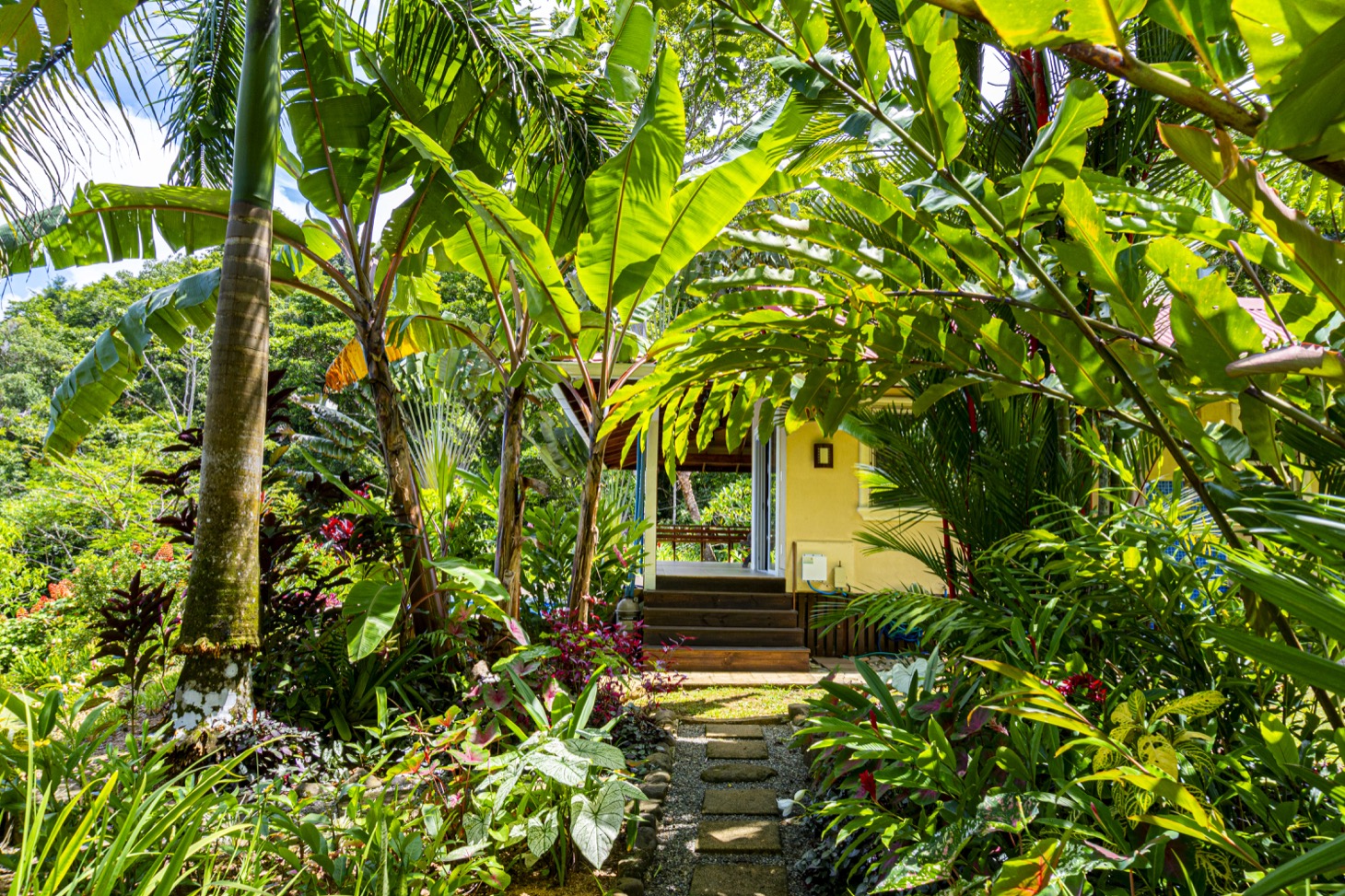 Move-In Ready Ocean View Home Surrounded by Nature selected