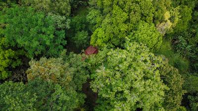 Riverfront Property with Primary Forest Close to Uvita Beaches image 4