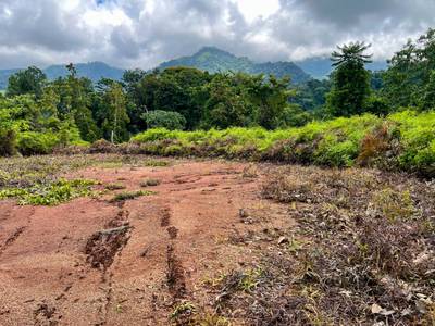 Build-Ready Mountain View Estate Lot in Tres Rios  image 5