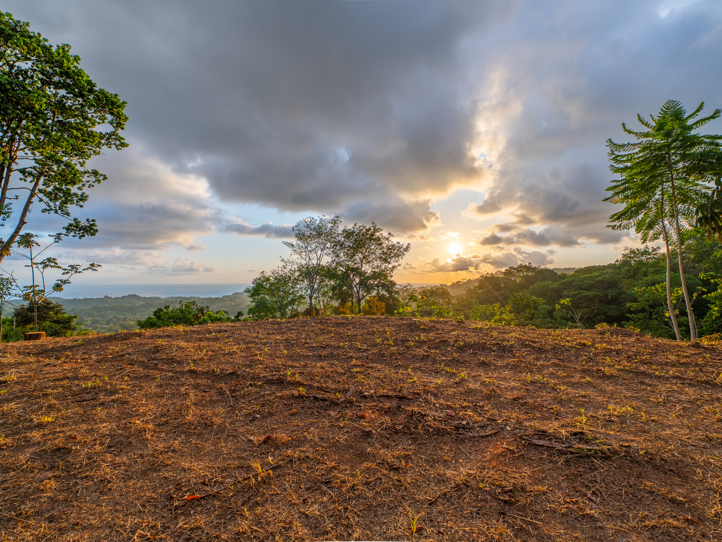 Ocean & Sunset View Lot for Sale in Ojochal, Costa Rica selected