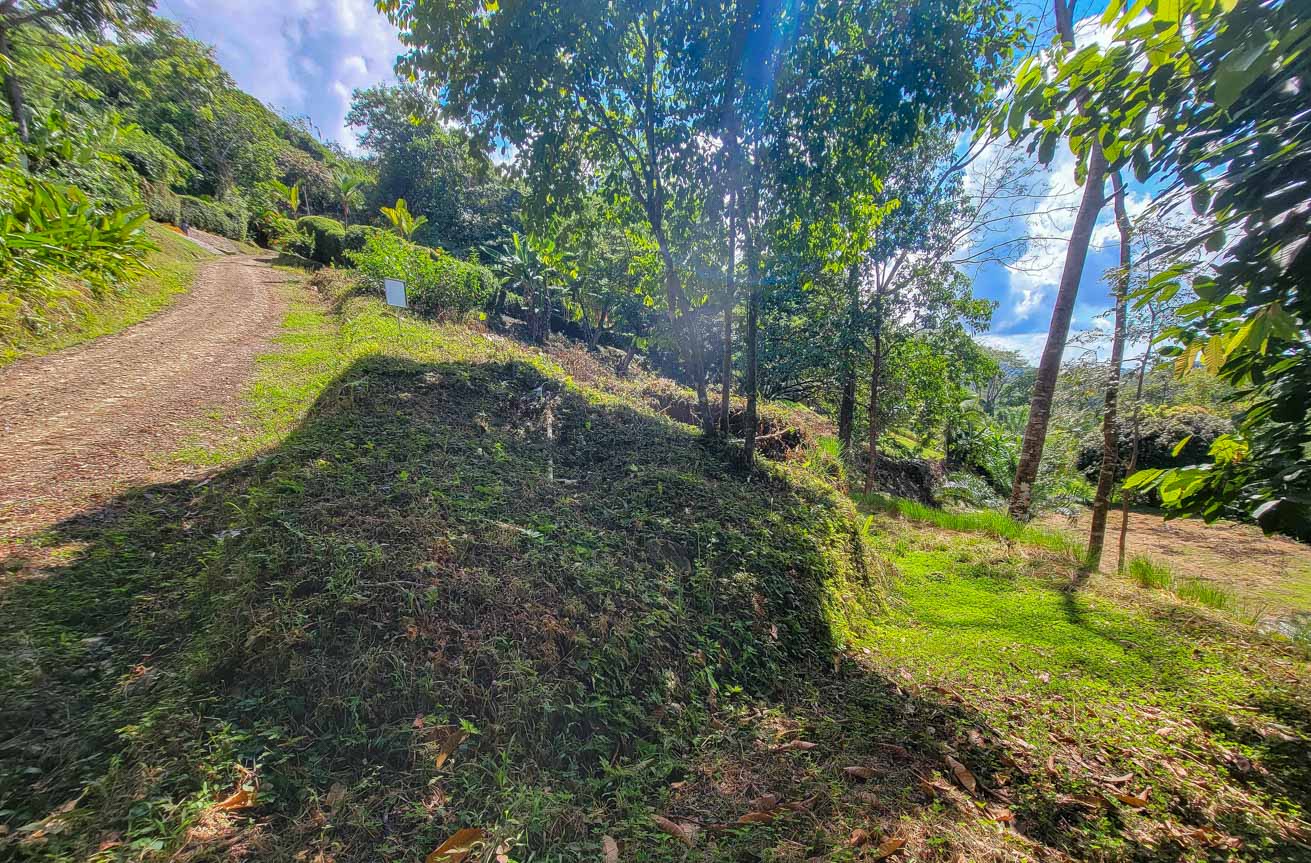 Large Uvita Lot with Whale’s Tail Ocean Views, Sunsets & Legal Water – Ready to Build selected