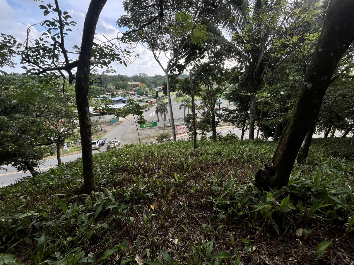 14.2 Acre Prime Commercial Property in Uvita – Highway Frontage and Unlimited Potential selected