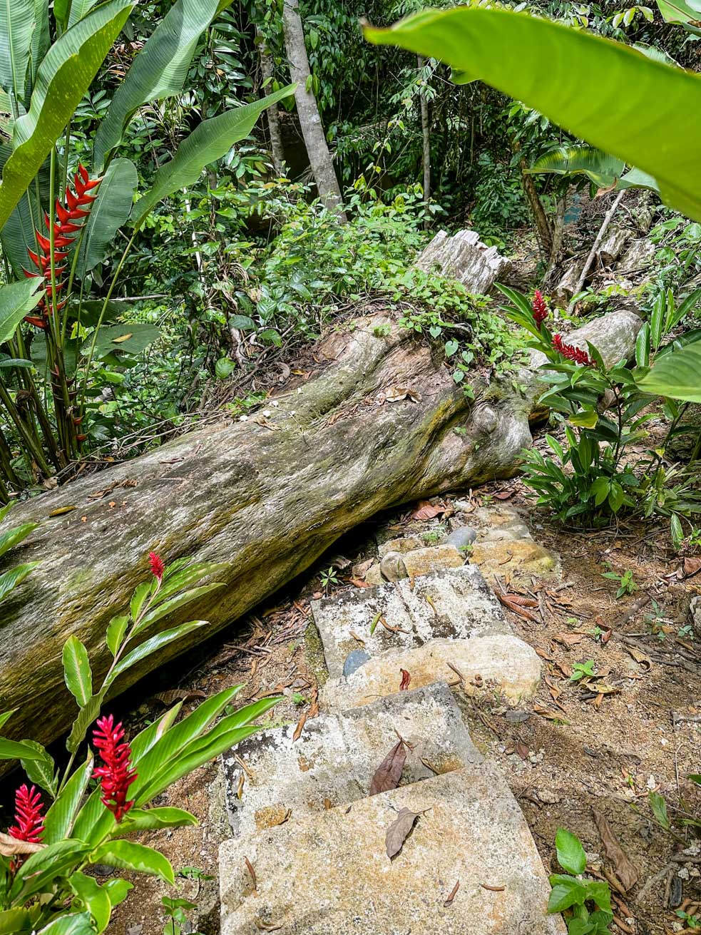 1-Bedroom Jungle River Retreat with Room to Build Your Dream Home in the Heart of Ojochal selected