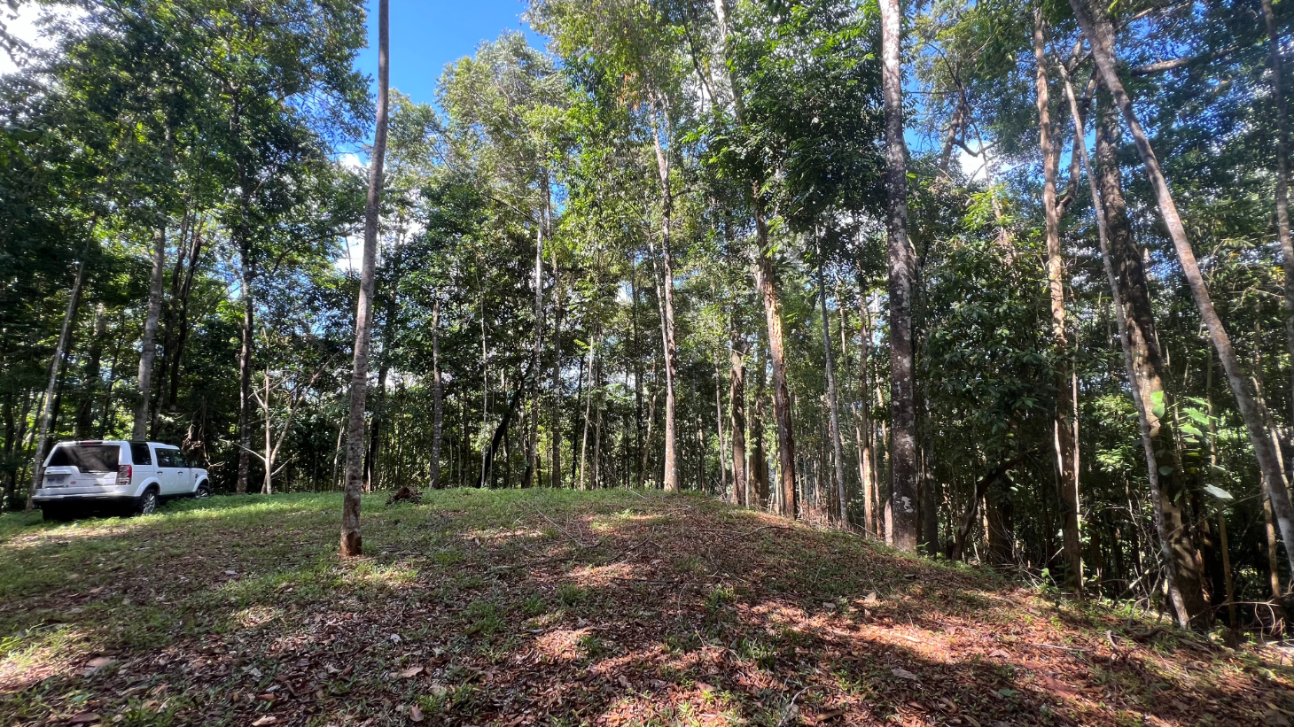 Build Ready Home Site with Easy Access in a Lush Rainforest Setting selected
