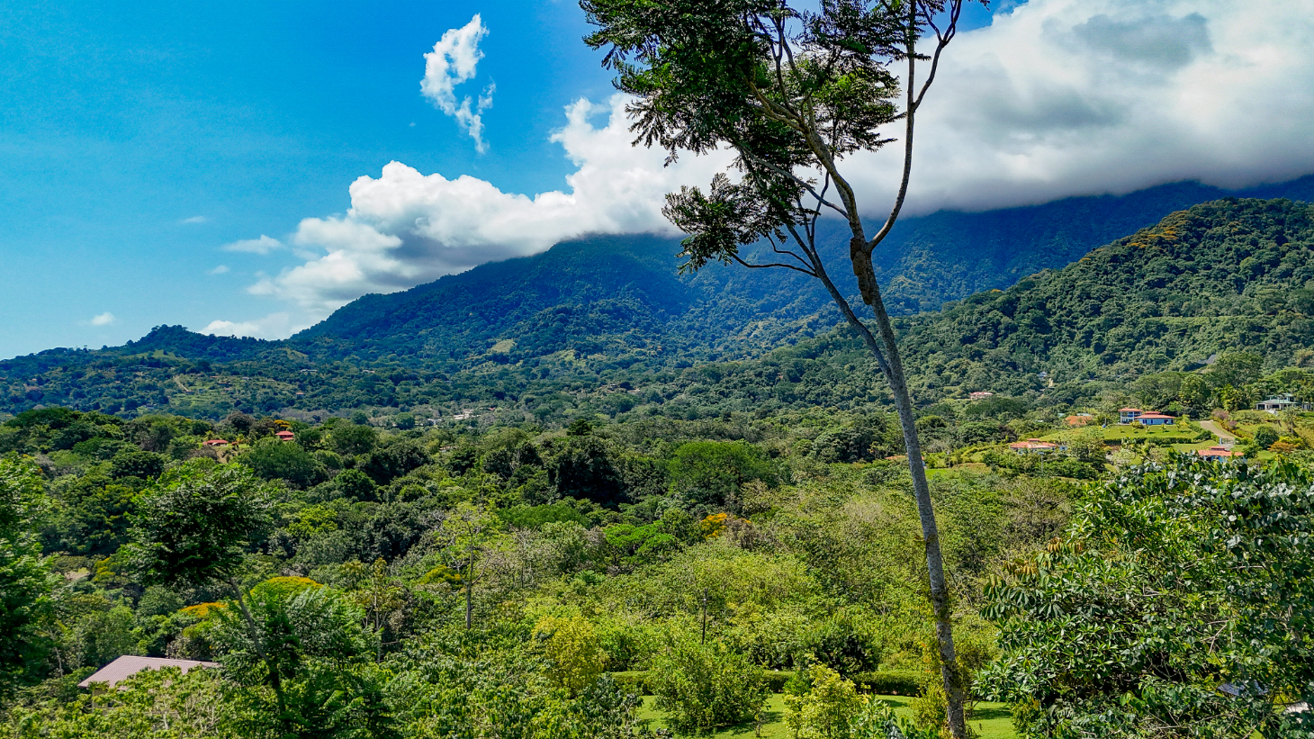 5.75 Acre Land for Sale in Ojochal | Ocean View Development Property selected