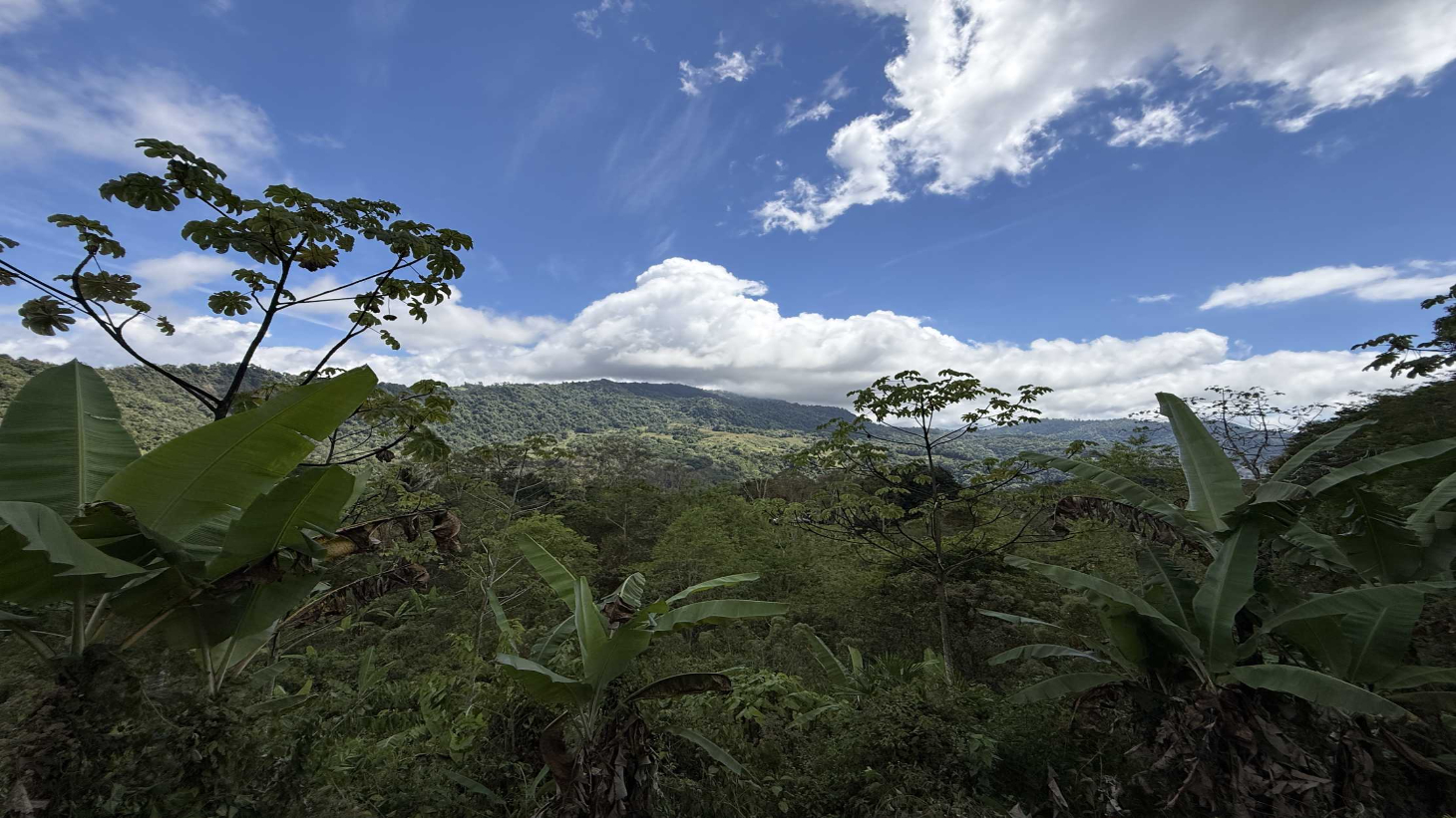 Jungle Lot with 3+ Building Sites, Legal Water, Electricity on Public Road with Big Valley & Mountain Views near San Josecito Costa Rica selected