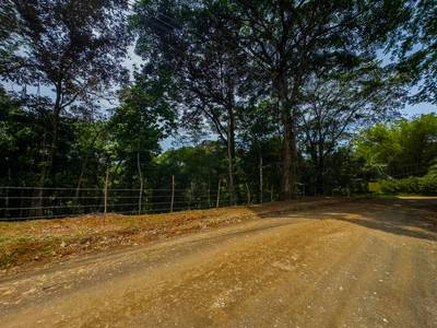 Prime 2.35-Acre Jungle Property in Sought-After Ojochal — Public Road Frontage, Development Flexibility, and Natural Beauty image 4