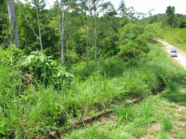 Exclusive Two-Lot Oasis in Gated Paradise – Build Your Dream Estate selected