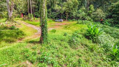Wonderful Jungle Lot with a Crystal Mountain River Border in Ojochal image 2