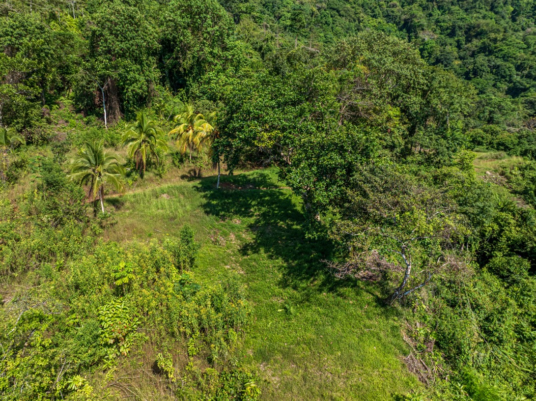 Visionary Ocean-View Estate with Development Potential Near Playa Linda selected