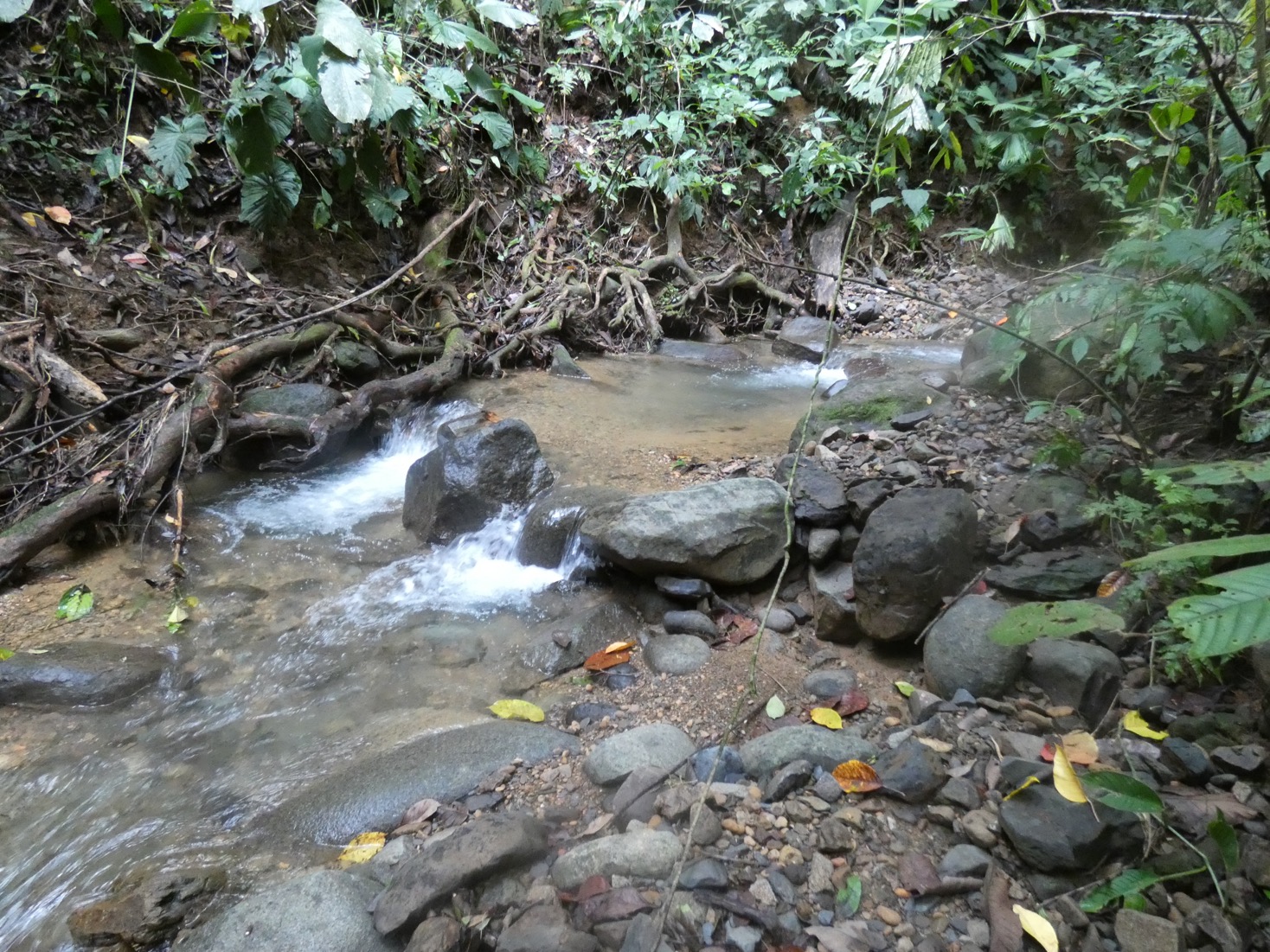 Discover Your Dream Lot in the Heart of Caracara Ridge, Ojochal selected