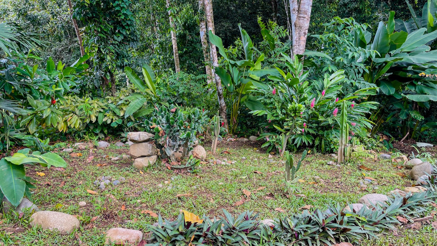 Contemporary Jungle Retreat in Tres Rios, Costa Rica selected