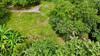 Ocean View Land Within a Few Minutes to Uvita image 4