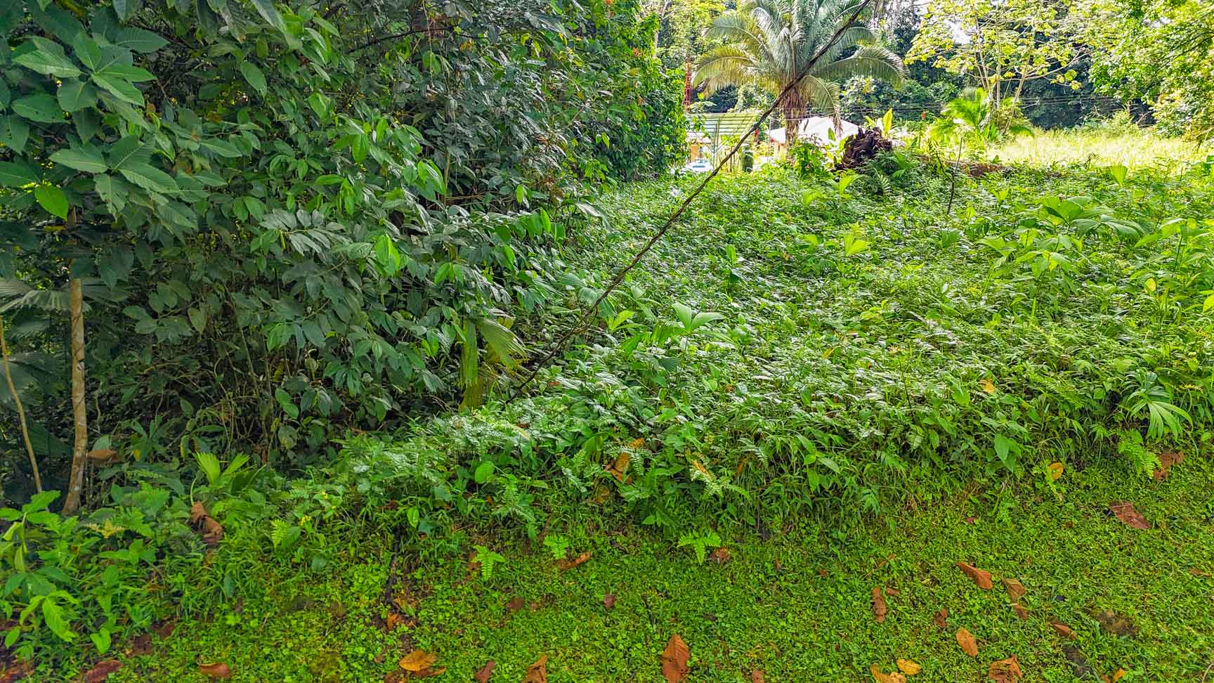 Private Jungle-Border Lot in Ojochal – Ready to Build, Gated Community, River Access selected