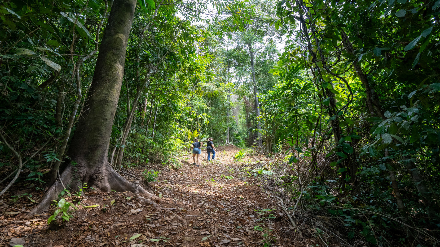 Rare 86-Acre Ocean View Estate Bordering Hacienda Barú – A Unique Opportunity for Conservation and Development selected
