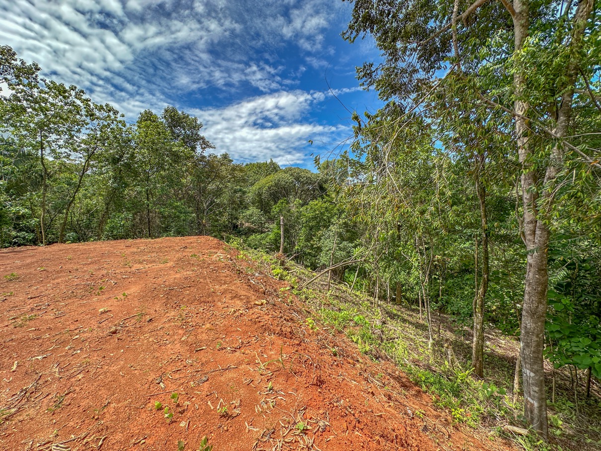 1.6 Acre Jungle and Creek Lot in Gated Community in Ojochal selected