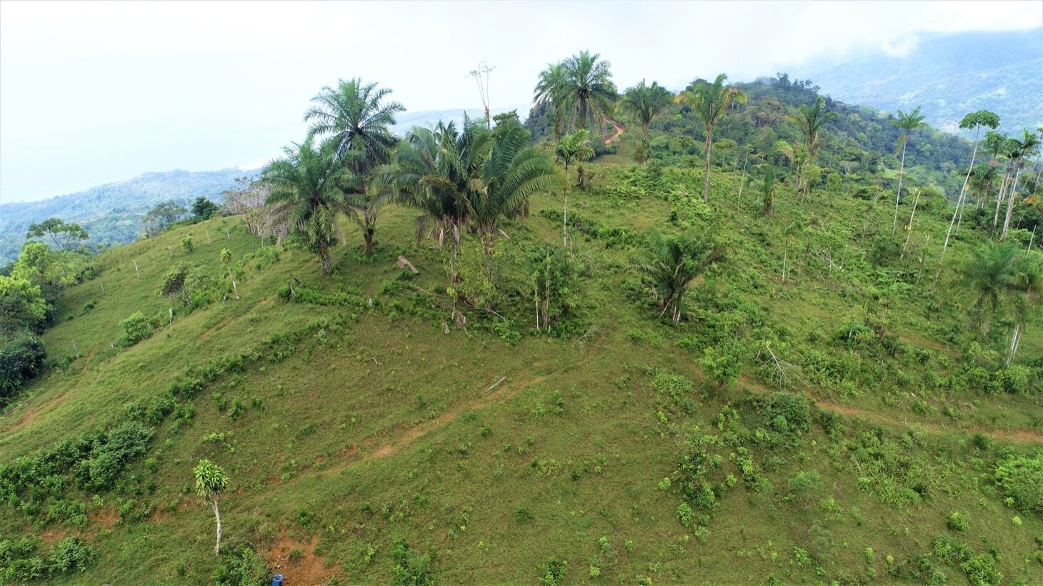 3 Spectacular Ocean View Farms in Uvita selected