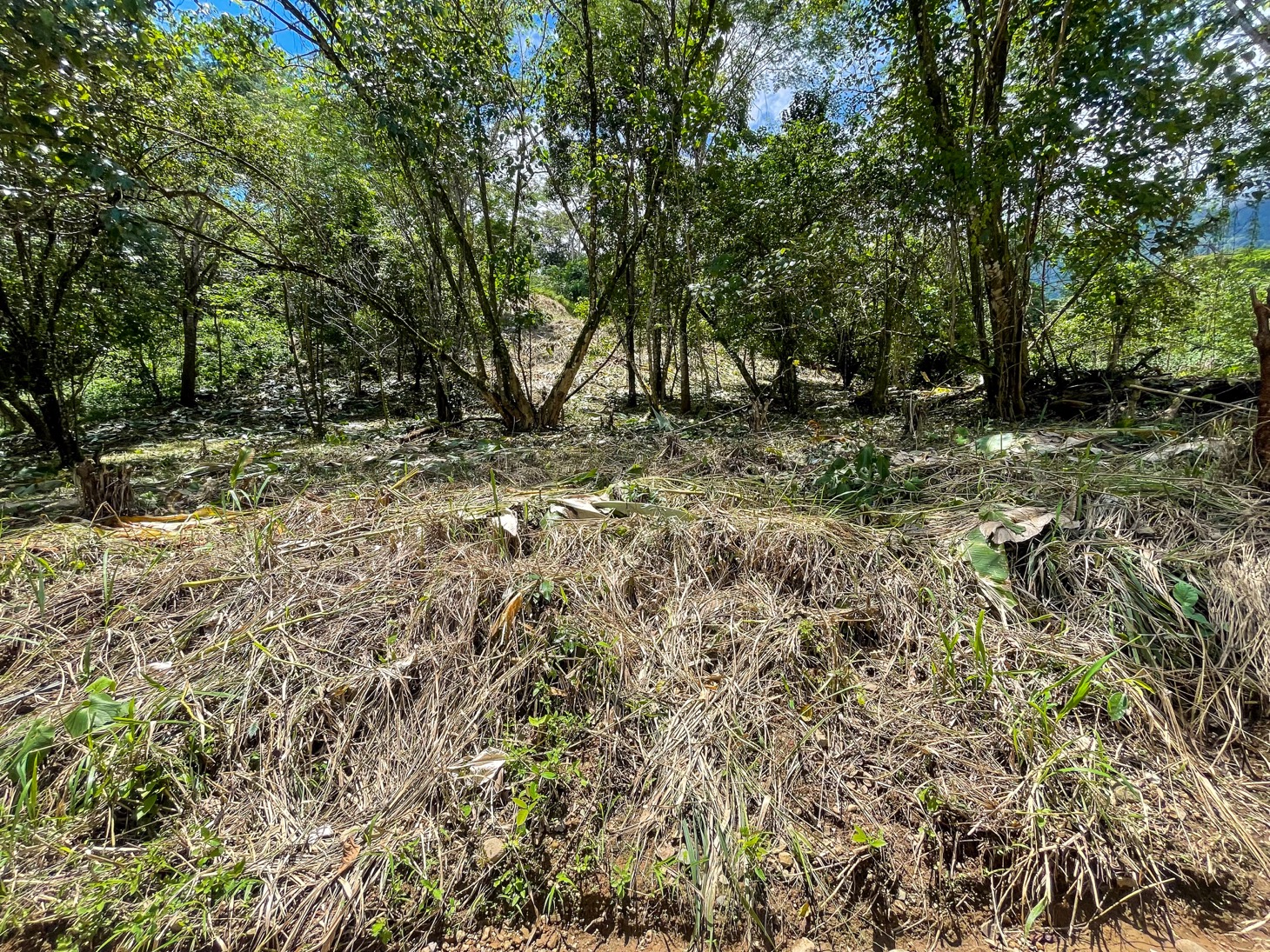 Your Private Mountain Sanctuary Awaits selected