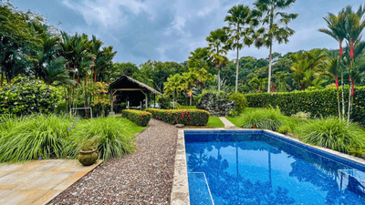 Costa Rica Jungle Home with Pool for Sale in Ojochal image 5