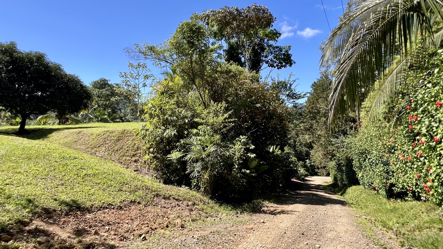 Exceptional Large Multi-Building Site Lot in Tres Ríos selected