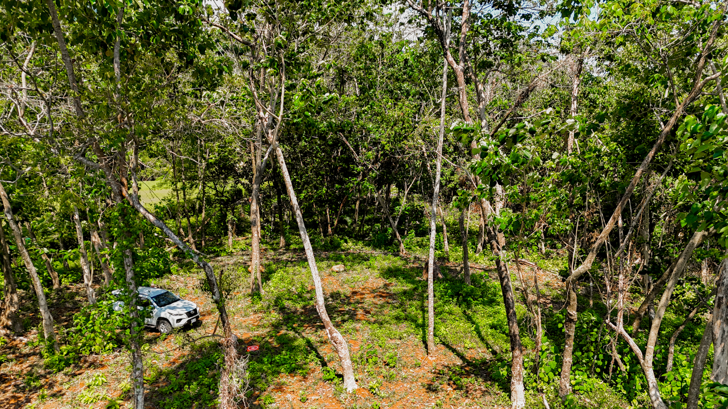 5.75 Acre Land for Sale in Ojochal | Ocean View Development Property selected
