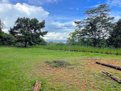 Spectacular Mountain & Ocean View Property in Cacao Ridge, Platanillo image 5