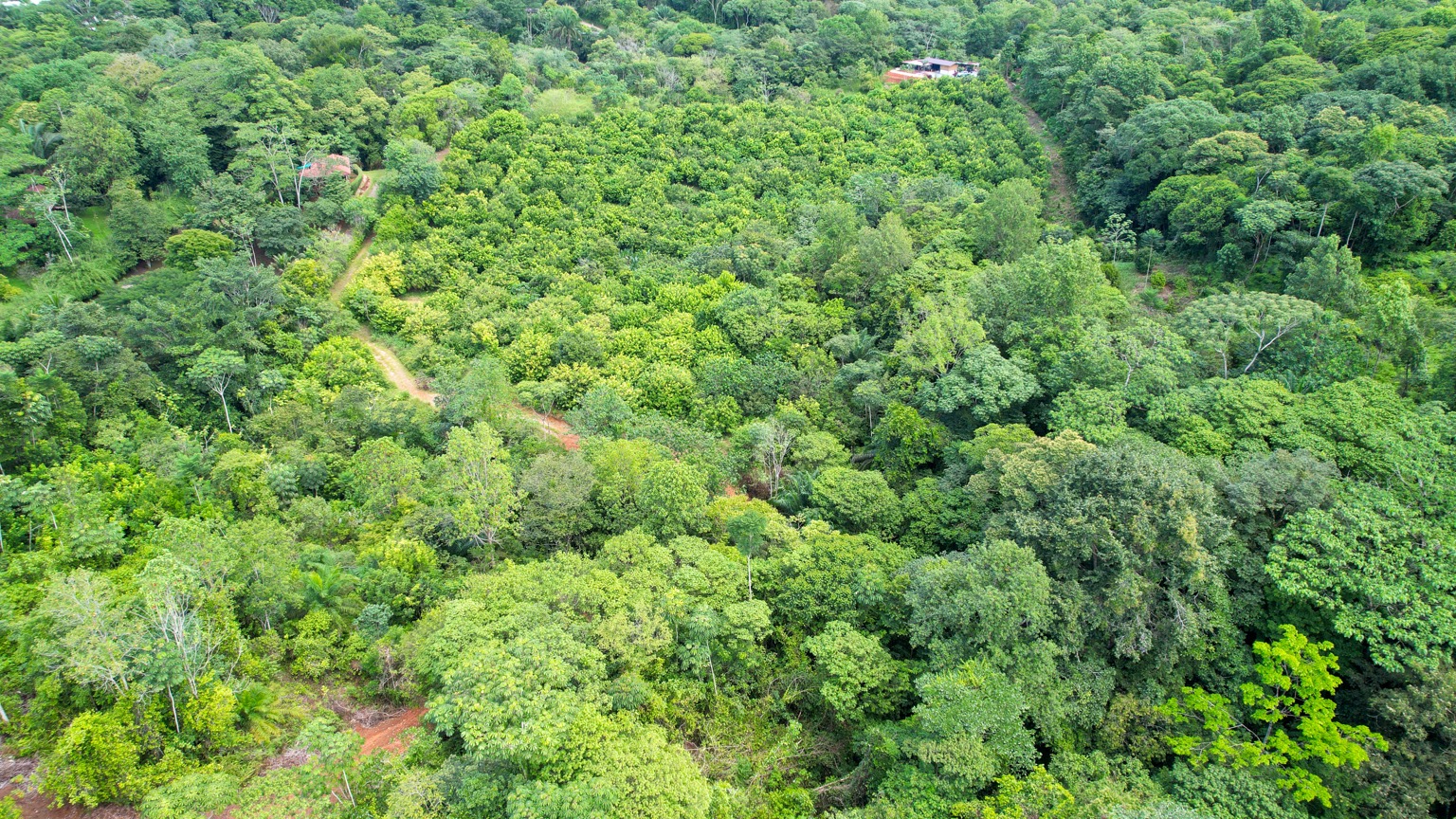 Premium 9.3-Hectare Farm for Sale in Ojochal, Costa Rica selected