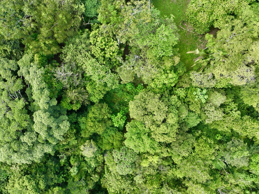 61.78 Acres of Oceanview Bliss with Private Waterfall in Tres Rios selected