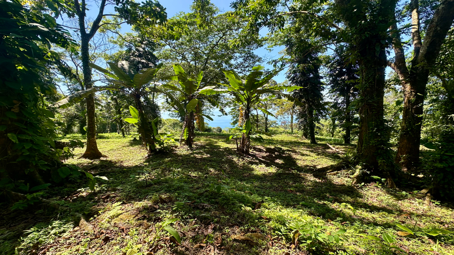 Exclusive 5.80 acres Ocean View Estate Lot in Costa Verde Estates – Escaleras selected