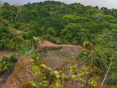 Ocean & Sunset View Lot for Sale in Ojochal, Costa Rica image 2