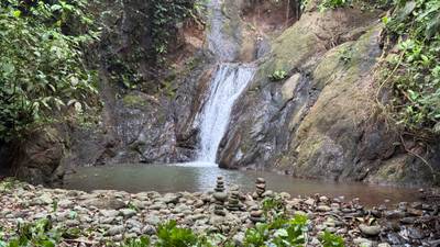 A Living Jungle Sanctuary on the River — 86 Hectares in Sabalo, Costa Rica image 1