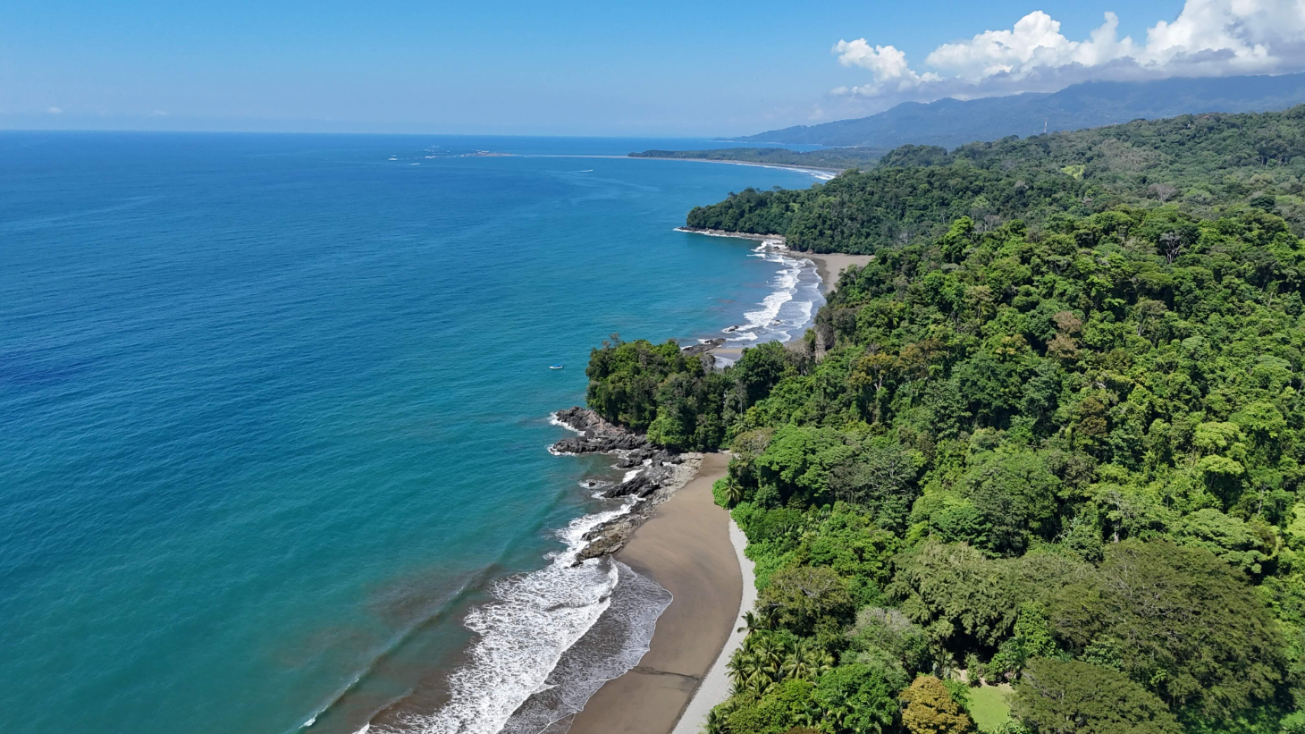 Rare Beachfront Lot Privately Located in Ballena Beach selected