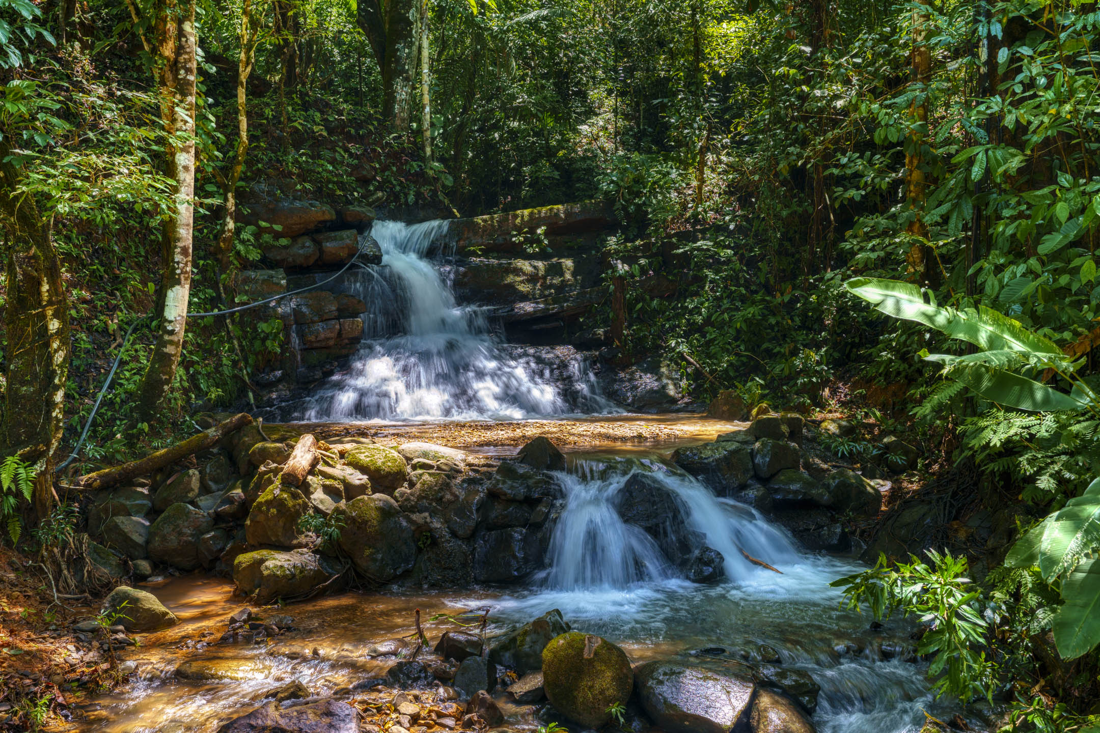 26 Acres With Ocean, Mountain & Waterfall View In Platanillo selected