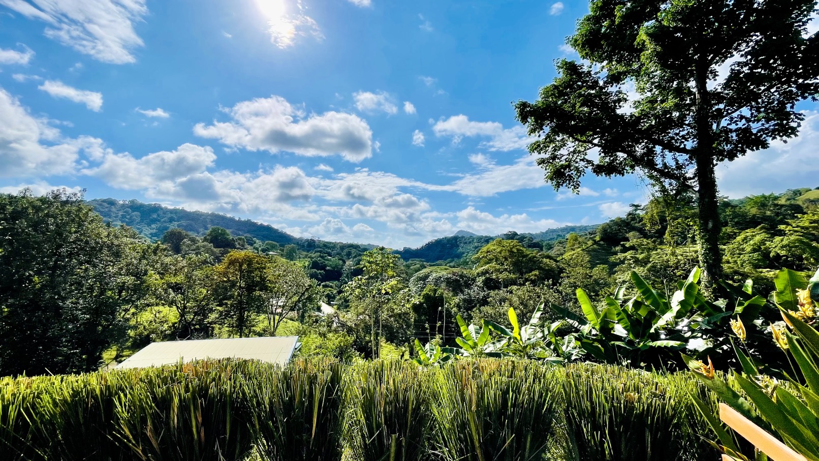 Brand New Modern Home in a Private Tropical Setting - Tres Rios selected