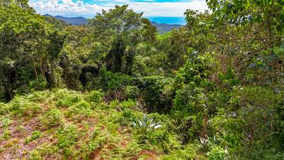 Jungle Lot for Sale in Ojochal With River & Waterfall image 4