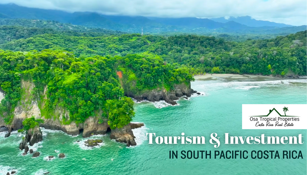 South Pacific Costa Rica: The Next Investment Frontier for Savvy Travelers