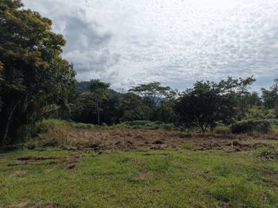 Caracara Ridge Lot #11 – Private Mountain View Homesite in Ojochal’s Premier Conservation Community image 2