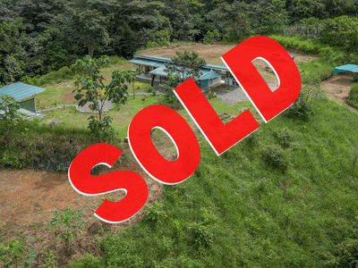 Casa Origen Hidden Away on 2.5 Acres of Land Bordered by a River image 1