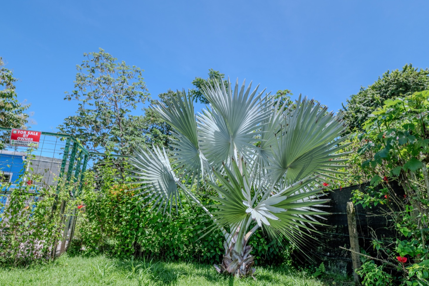 Turnkey 3-Bedroom Home Just Steps from the Beach in Uvita, Costa Rica selected