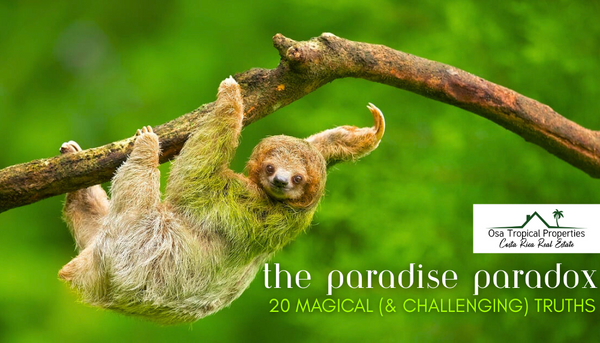 The Paradise Paradox: What Makes Costa Rica Magical (And Challenging) for Expats in 2025