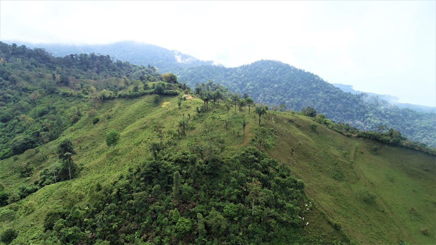 3 Spectacular Ocean View Farms in Uvita selected