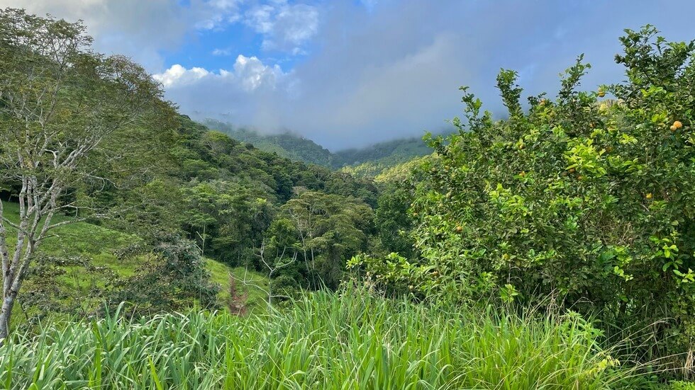 145 Acres With Swimming Holes, Waterfalls And Ocean Views selected