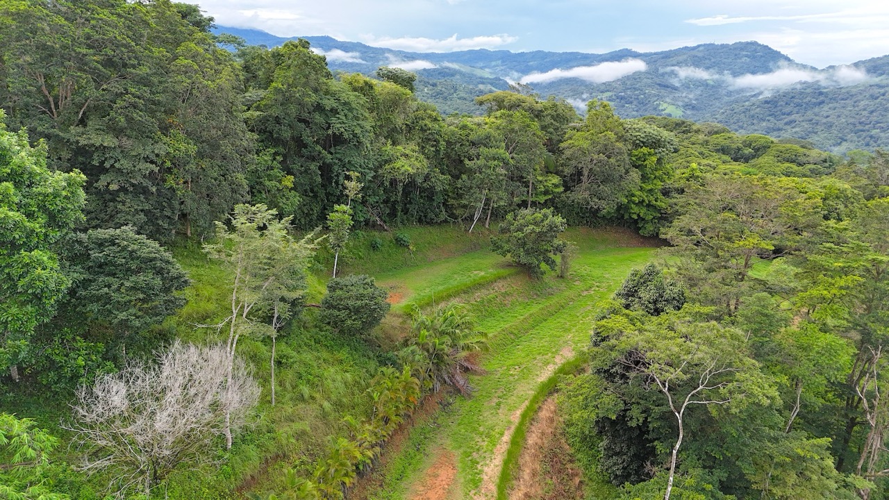 Spectacular Mountain & Ocean View Property in Cacao Ridge, Platanillo selected