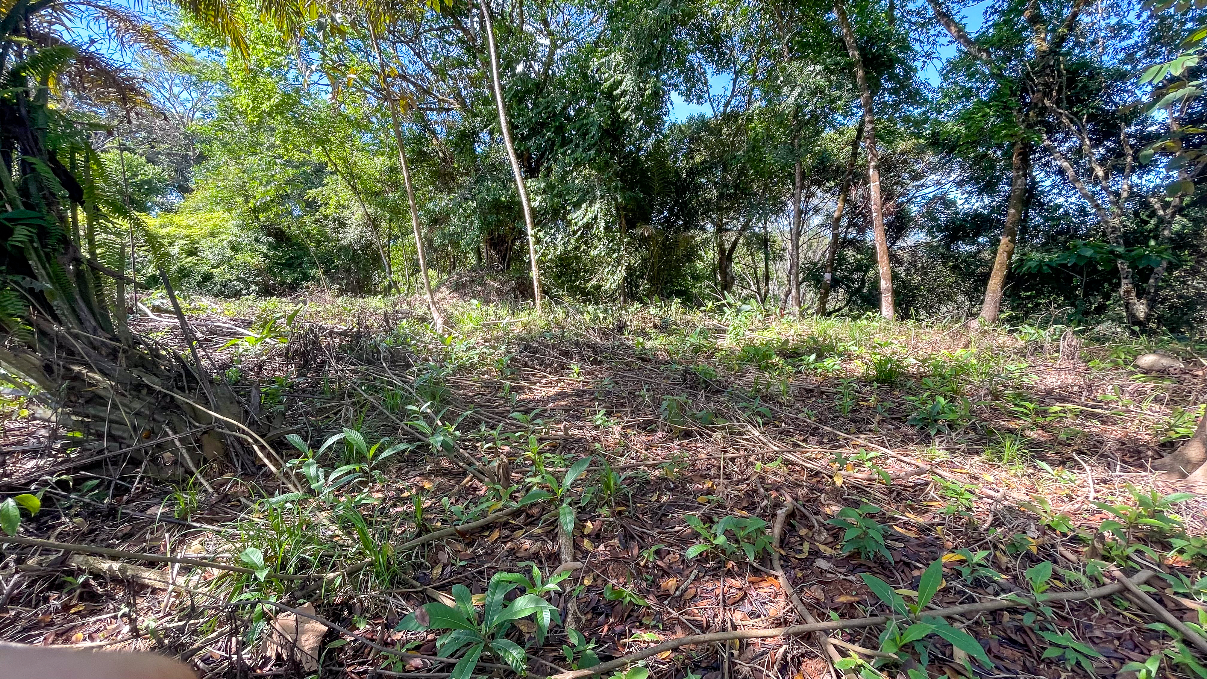Tucked-Away Jungle Lot at the End of a Quiet Road — Ojochal, Costa Rica selected