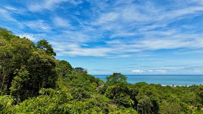 Ocean View Land Within a Few Minutes to Uvita image 3