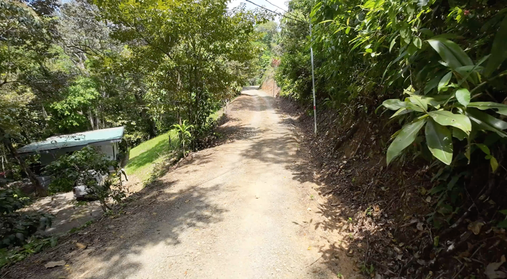 Multi-Home Income Estate Near Marino Ballena National Park selected